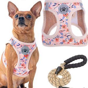 NEW Small Floral Pattern Dog Pink Harness and Leash Set